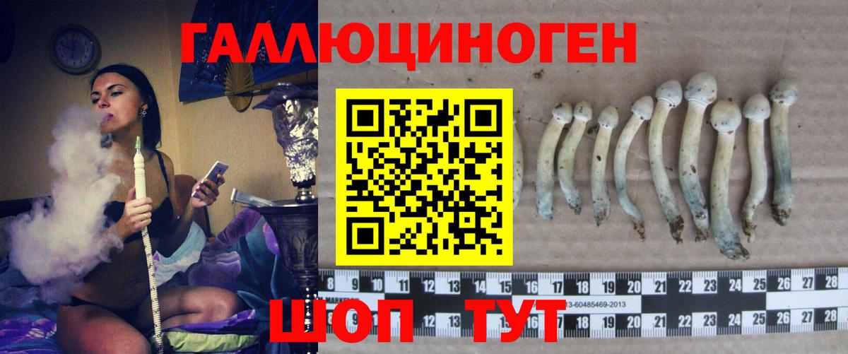 Березники  Галлюциногенные грибы ЛСД  магазин  наркотиков  Вход с VPN 